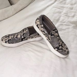 Steve Madden Ecentrcq Sneaker Snake Print